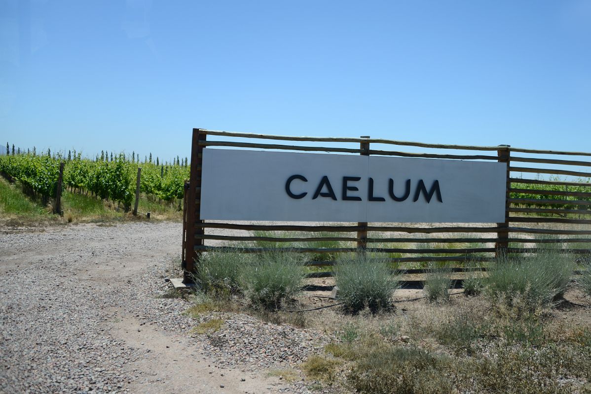 08-01 The Third Stop On Our Lujan de Cuyo Wine Tour Is The Boutique Caellum Winery Near Mendoza
